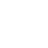 Limousine King Limo Hire